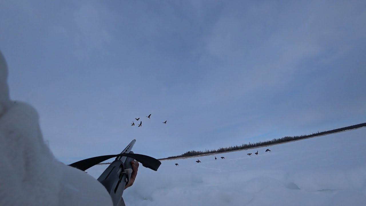 ОХОТА НА ГУСЯ -ОДИНОЧНАЯ ВЫЛАЗКА.