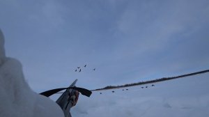 ОХОТА НА ГУСЯ -ОДИНОЧНАЯ ВЫЛАЗКА.