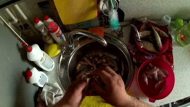 Чистка окуня на котлеты смотреть онлайн