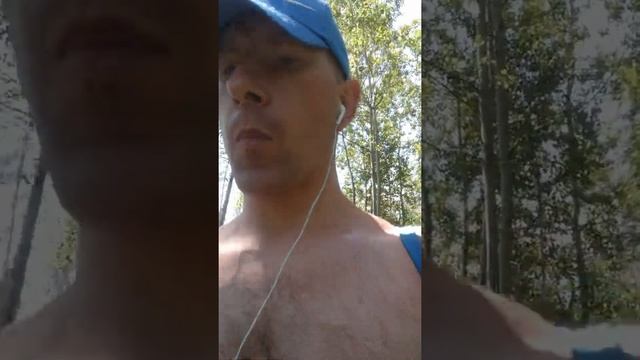 Питание смешанное, раздельное, особенности.