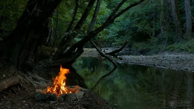 Mysterious Travel Adventures