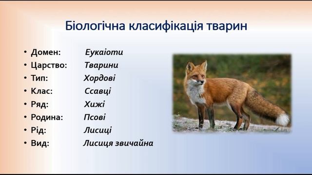 Біологія 9 клас. Основи еволюційної філогенії та систематики смотреть онлайн