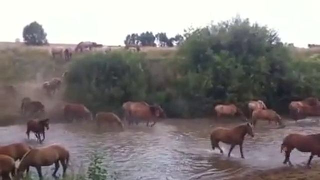 Советские тяжеловозы смотреть онлайн