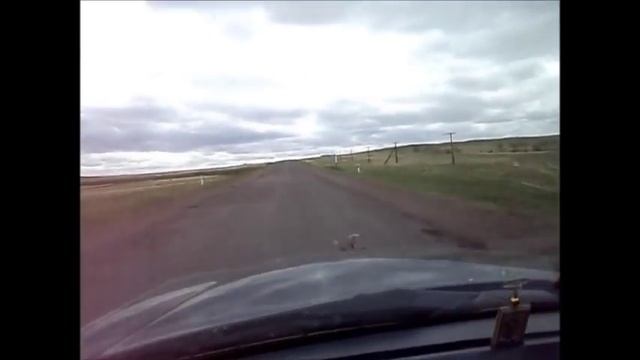 Дорога Караганда-Павлодар !!! смотреть онлайн