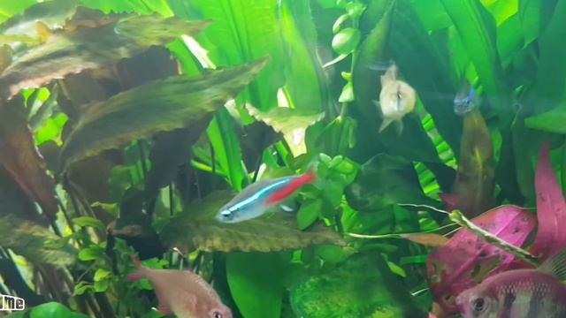 250 литров. смотреть онлайн