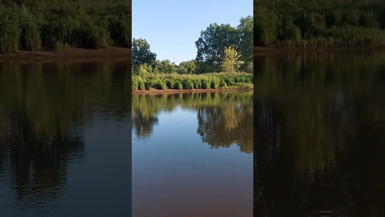 рыбалка на поплавок смотреть онлайн