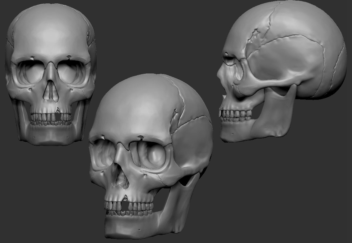 моделирование черепа; Sculpting A Human Skull In Zbrush