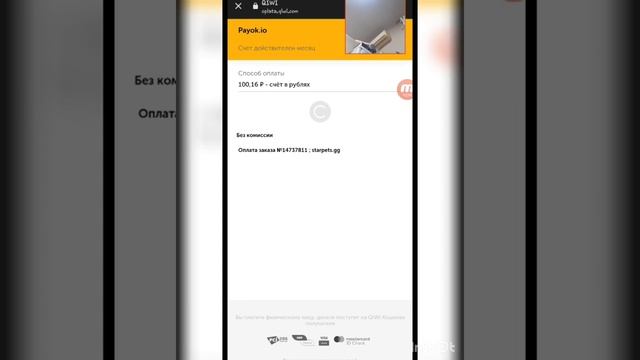 тутор на покупки в star pets!? сайт временно не работает?? смотреть онлайн