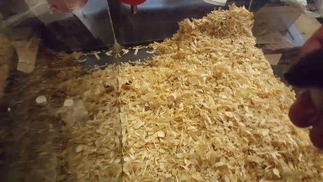 NYC Rats Now Being Bred in Captivity [ The Beginning ] смотреть онлайн
