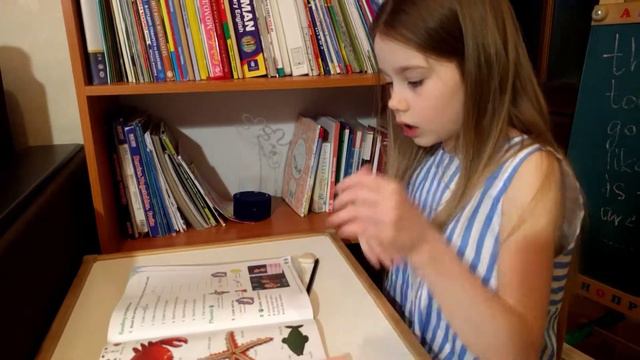 Пересказ текста с новой лексикой. Sea creatures смотреть онлайн