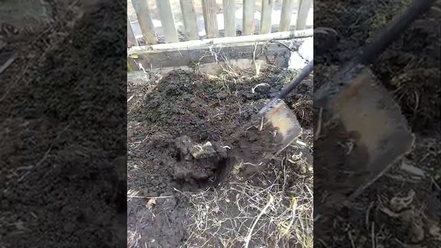 Чудо лопата и вилы смотреть онлайн