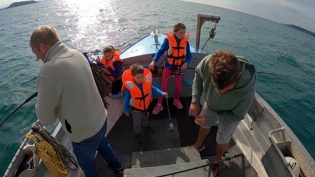 BOAT FISHING - Mackerel, BIG Couches Bream, Gurnard, Horse Mackerel And Much More