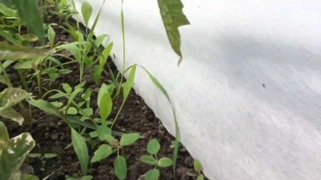 Подимаем дом на сваи, замена фундамента, сваи вместо блоков! смотреть онлайн