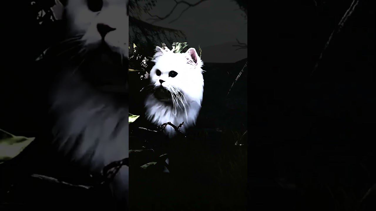 2623/2700 подписоты#warthunder #warthundervideo #вартандер