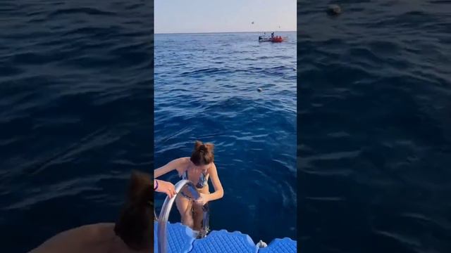 Встреча с Красным морем🌊 смотреть онлайн