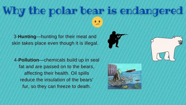 SAVE THE POLAR BEAR смотреть онлайн