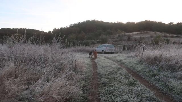 The first frost of the year -6 degrees | Farm Tour смотреть онлайн