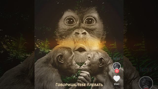 Говоришь тебе плевать (Slow)