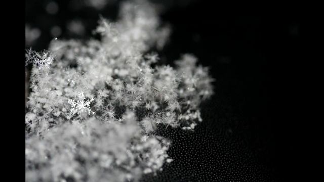 Finding Christmas Tree Chapter 21 смотреть онлайн