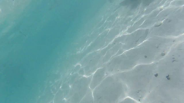 Koh Rang Marco Roel смотреть онлайн