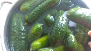 Самый лёгкий способ соленья огурцов и помидоров