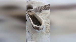 Как добывают рыбу жители севера. Котец — хитрость, о которой еще помнят в дальних уголках страны.