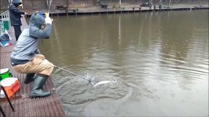 Погода внесла коррективы в клёв  форели. Клёвое место.