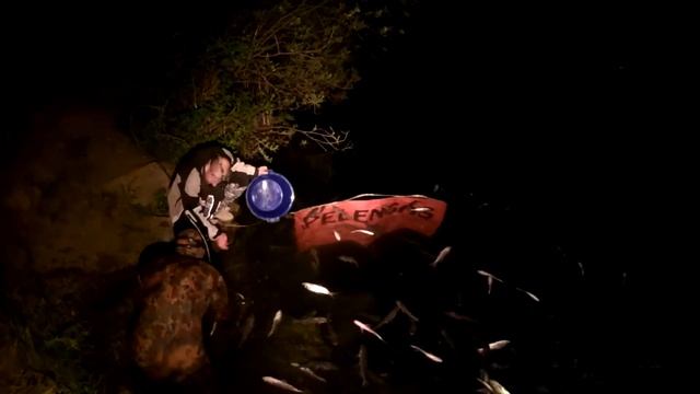 малыши амура и лба смотреть онлайн