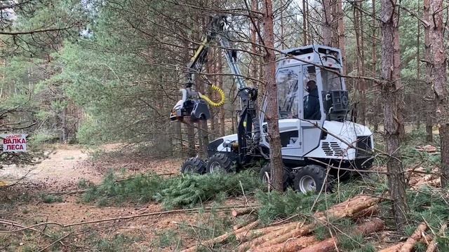 Usewood лесные культуры ЧепиковЛес смотреть онлайн