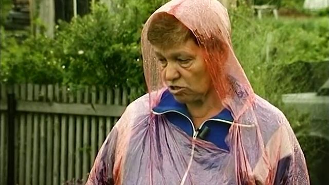 Агротехника айвы смотреть онлайн