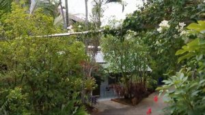 Golden sand inn обзор отеля