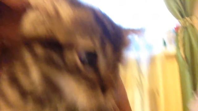 Знакомимся с Маффюней смотреть онлайн