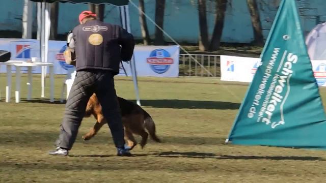 №149. ZZ-TOP FEETBACK фактор