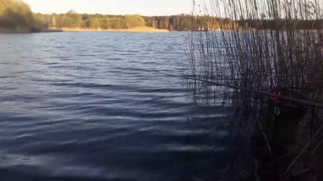 Ловим карася на Жору и Звездочку смотреть онлайн