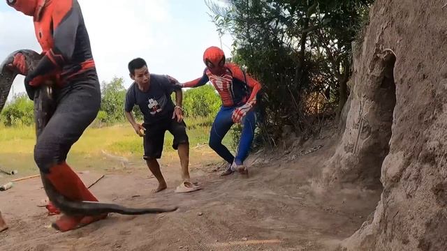 Team Spider-Man Squad Fight The Gogilla Monster To Rescue The Country Girl смотреть онлайн