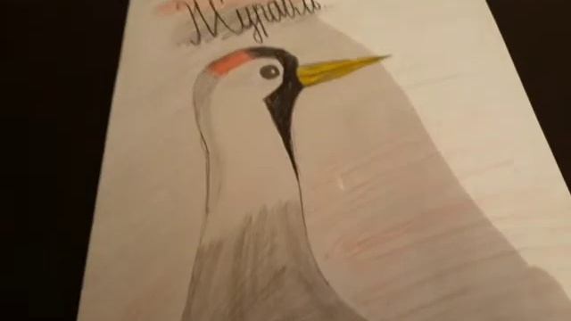 Коллекция рисунков на тему: птицы.??? смотреть онлайн