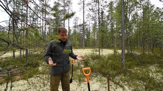 Что взять с собой на полевую практику и какие факторы почвообразования описывать в поле смотреть онлайн