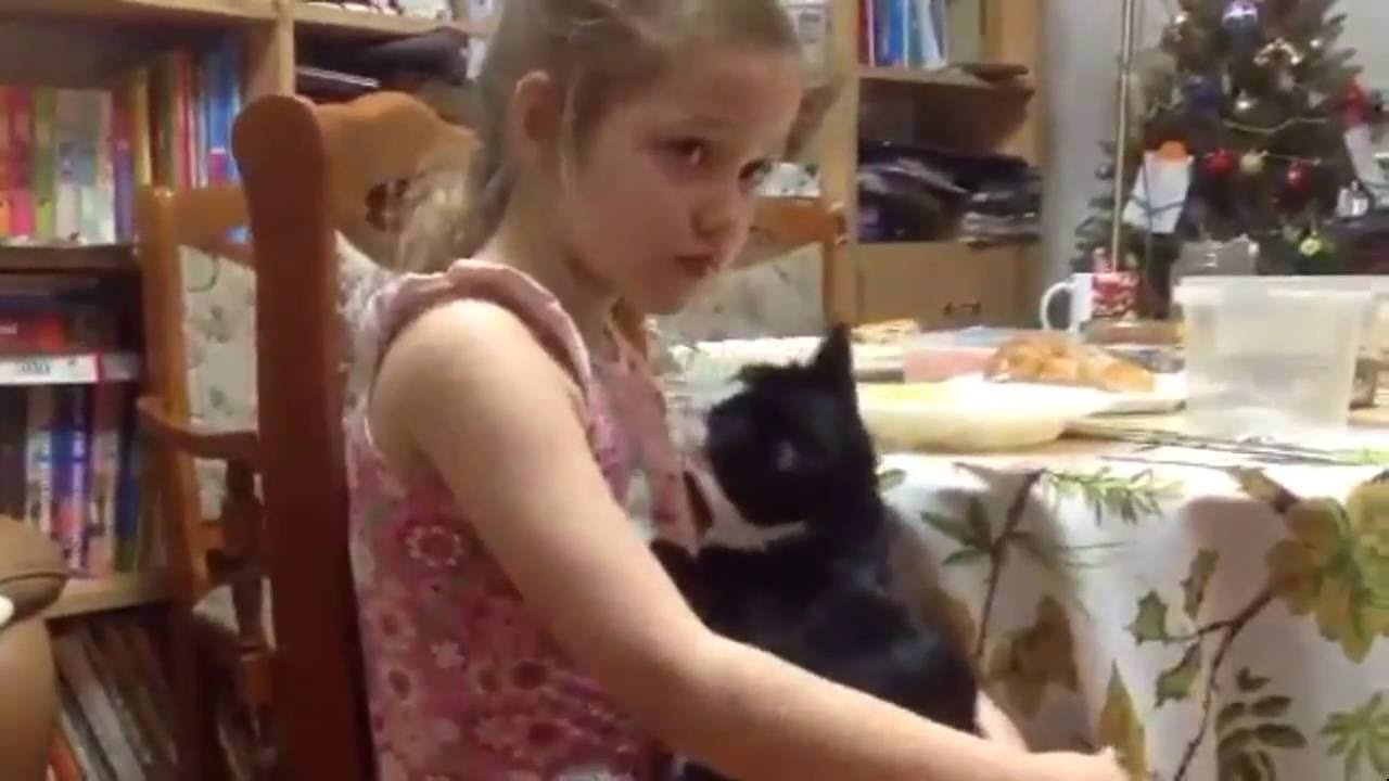 One Plate Of Spaghetti For Two Friends смотреть онлайн