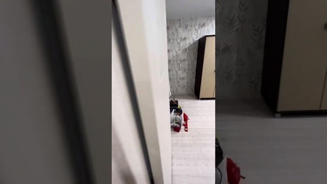 12 ноября 2023 г. смотреть онлайн