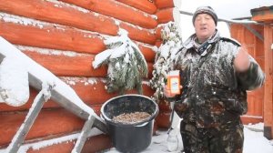 СОДА. Обязательная ветеринарная терапия для кур несушек зимой.