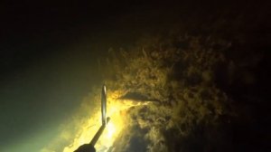 Подводная охота перед запретом