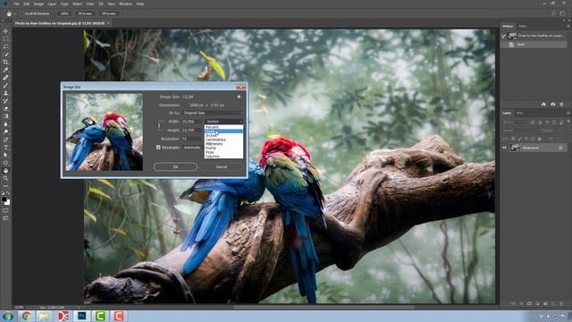 Adobe Photoshop Fundamentals (Free Course) Lecture 16: Image Resizing options смотреть онлайн