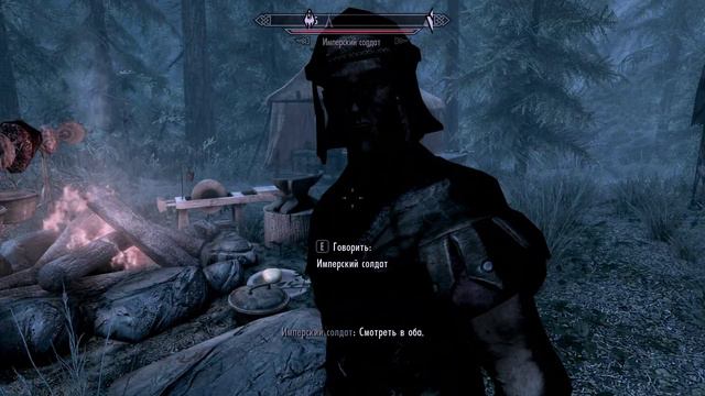 Проблема The Elder Scrolls V Skyrim Special Edition смотреть онлайн