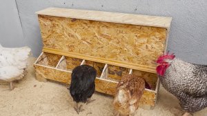 Кормушка курам большая бункерная из ДСП