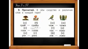 Обозначение буквой парный по глухости звонкости согласный звук на конце слова