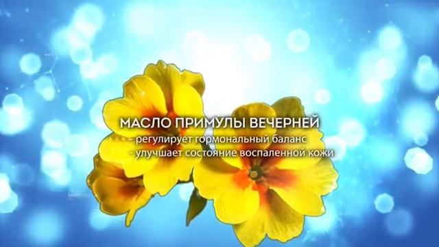 Дуэт Красоты 89170991770 #маслопримулывечерней#хлорелла#зеленыйчай#женскаямолодость#молодостькожи# смотреть онлайн