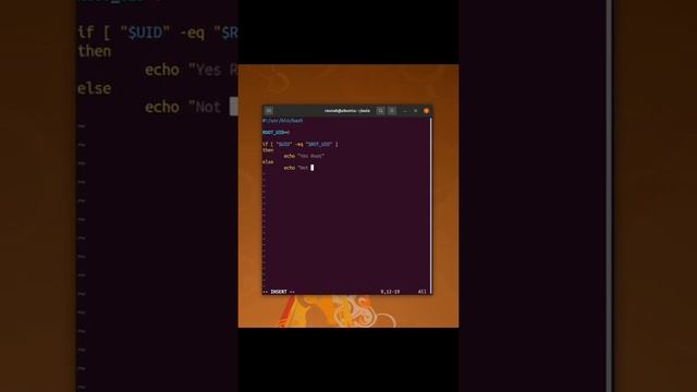 Simple script to check for Root user in Linux смотреть онлайн