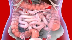 Самая эффективная чистка кишечника! Народное средство, проверенное временем.