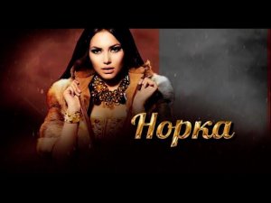 Рекламный блок РОССИЯ 1 ЮЖНЫЙ УРАЛ 09.02.2024