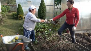 6 соток 15 августа 2024 года. Хроника.